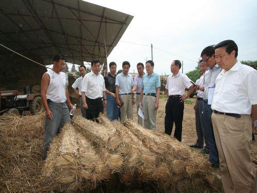 加大科技研发力度 促进农作物秸秆综合利用——河南省驻马店市农作物